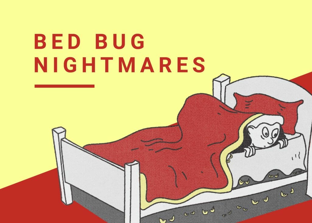 bed bug nightmares