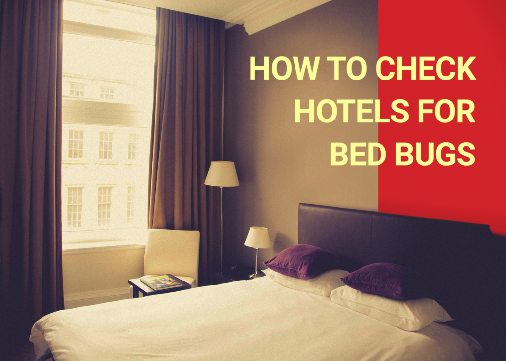 How To Check Hotels For Bed Bugs Dodson Pest Control