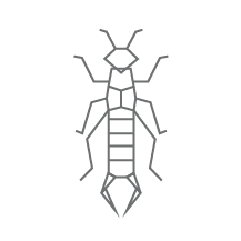 Top 4 Best Pest Exterminators In Christiansburg Va Angie S List