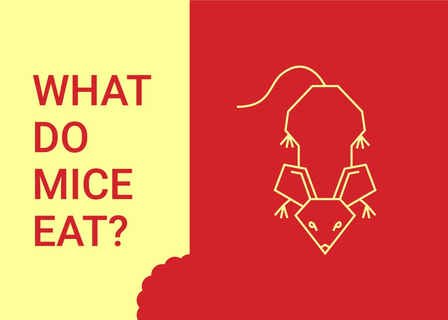 What Do Mice Eat? Dodson Pest Control