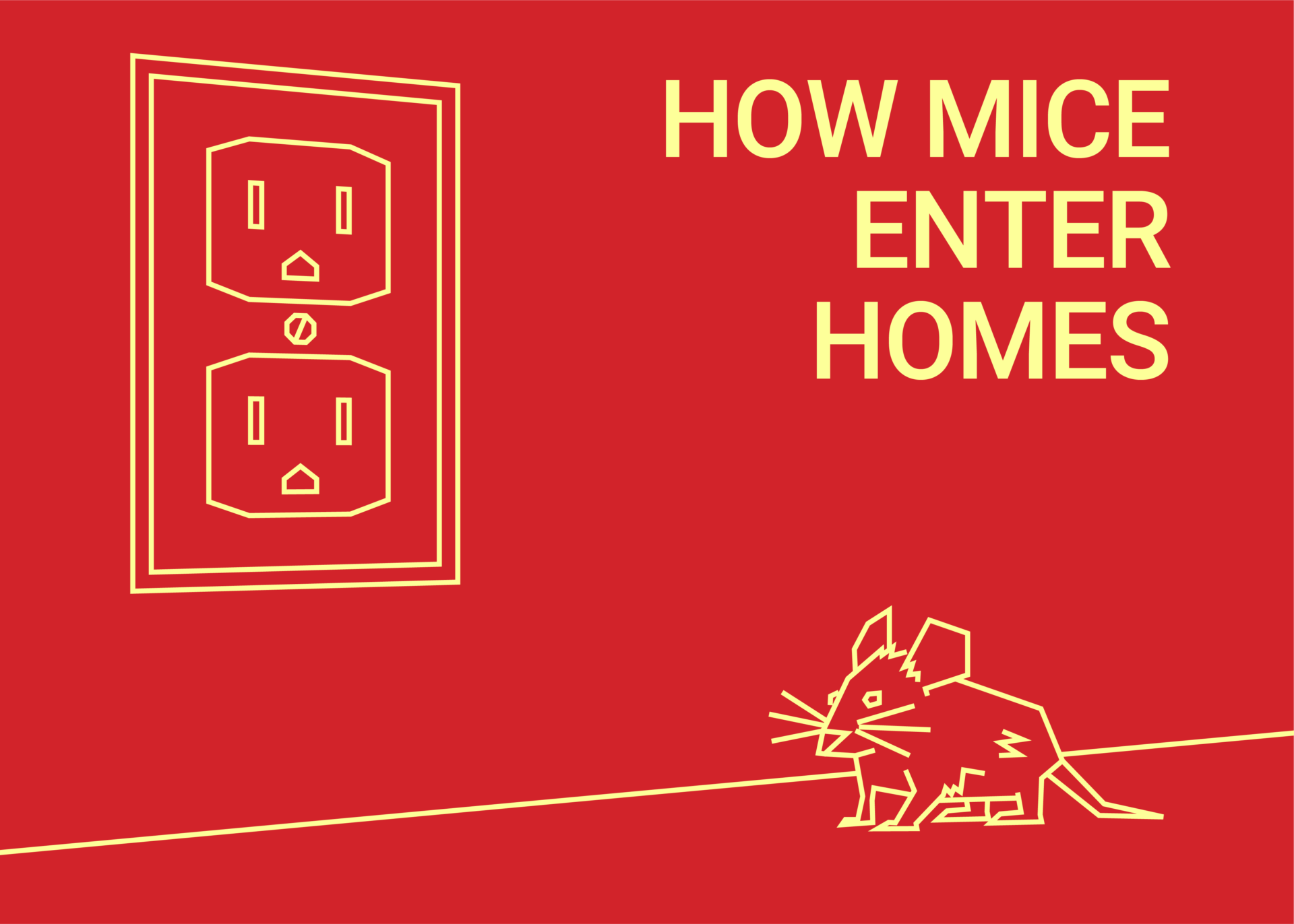 How Mice Enter Homes Dodson Pest Control