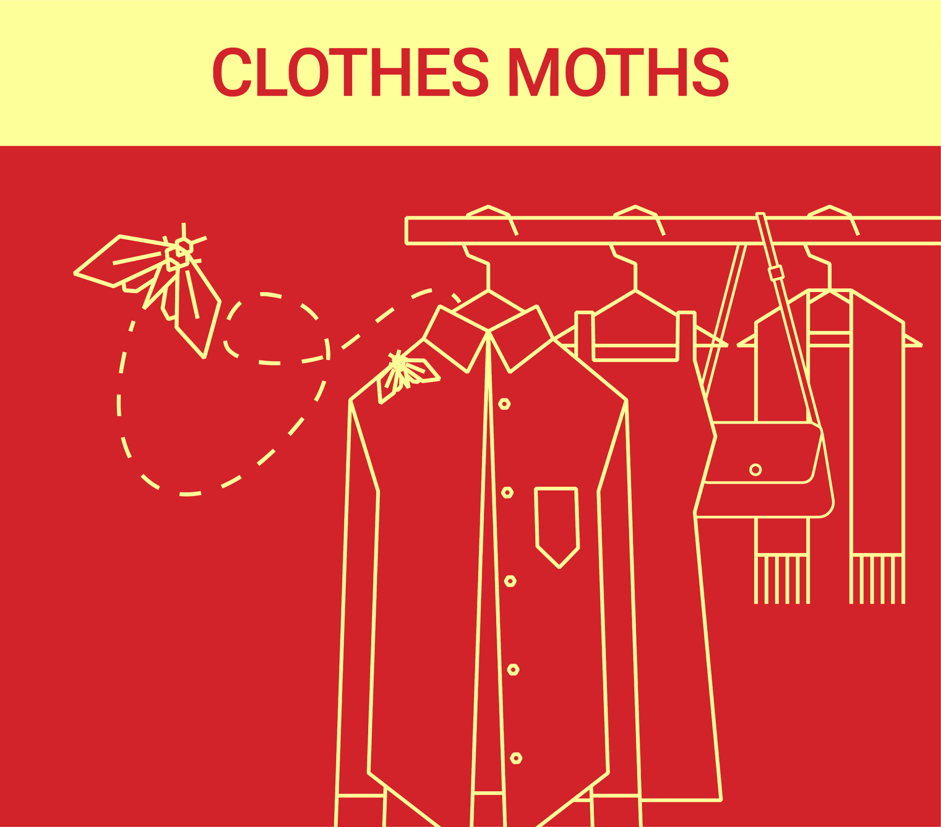 What You Need To Know About Clothes Moths Dodson Pest Control