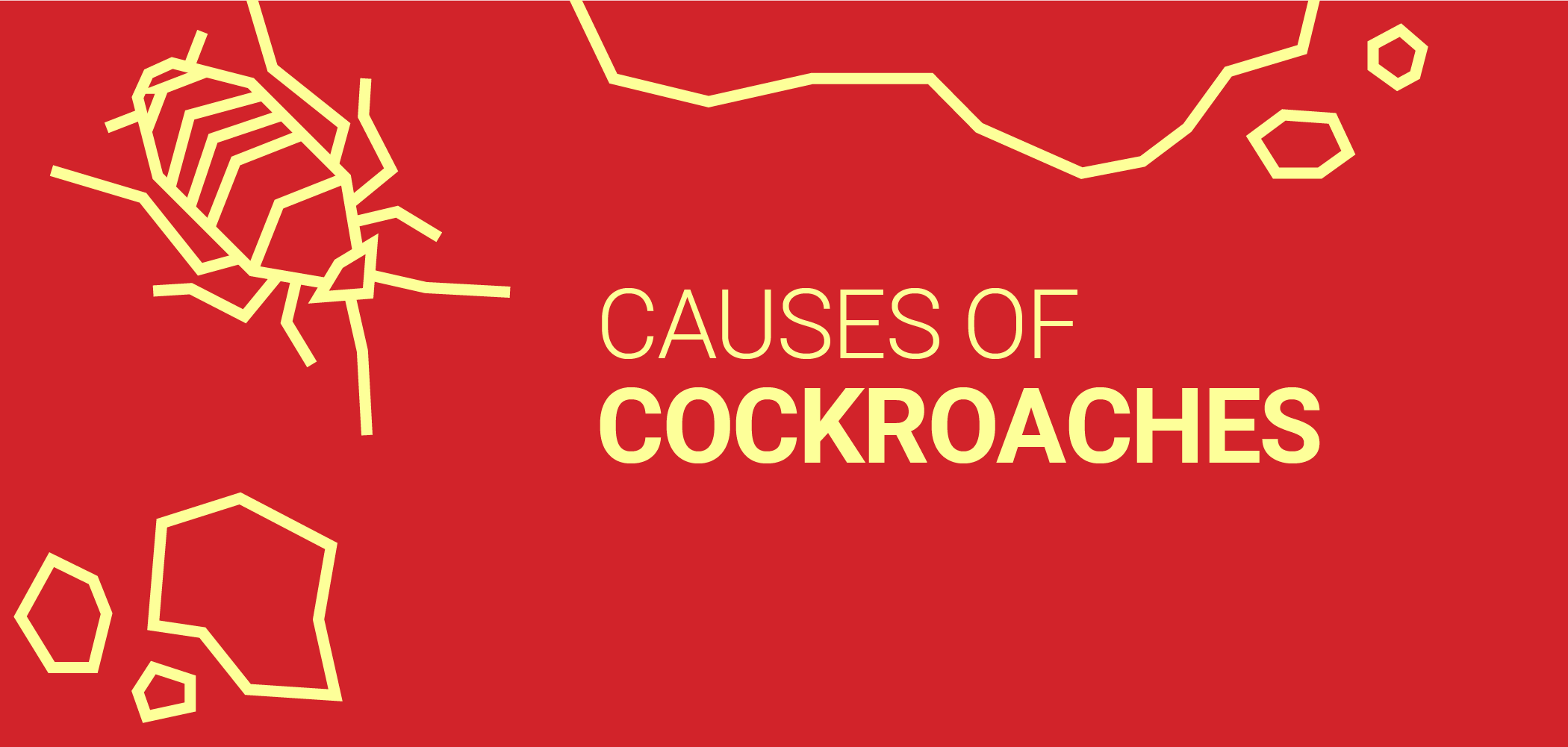 causes of cockroaches graphic