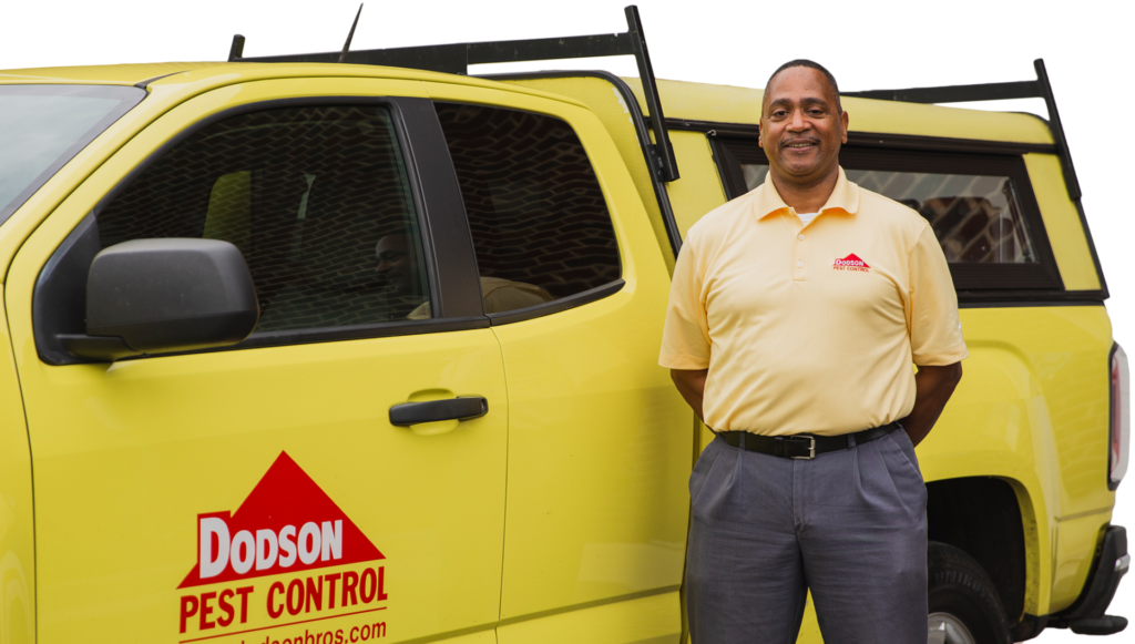 Dodson pest control specialist trained to keep bees away from your home or office