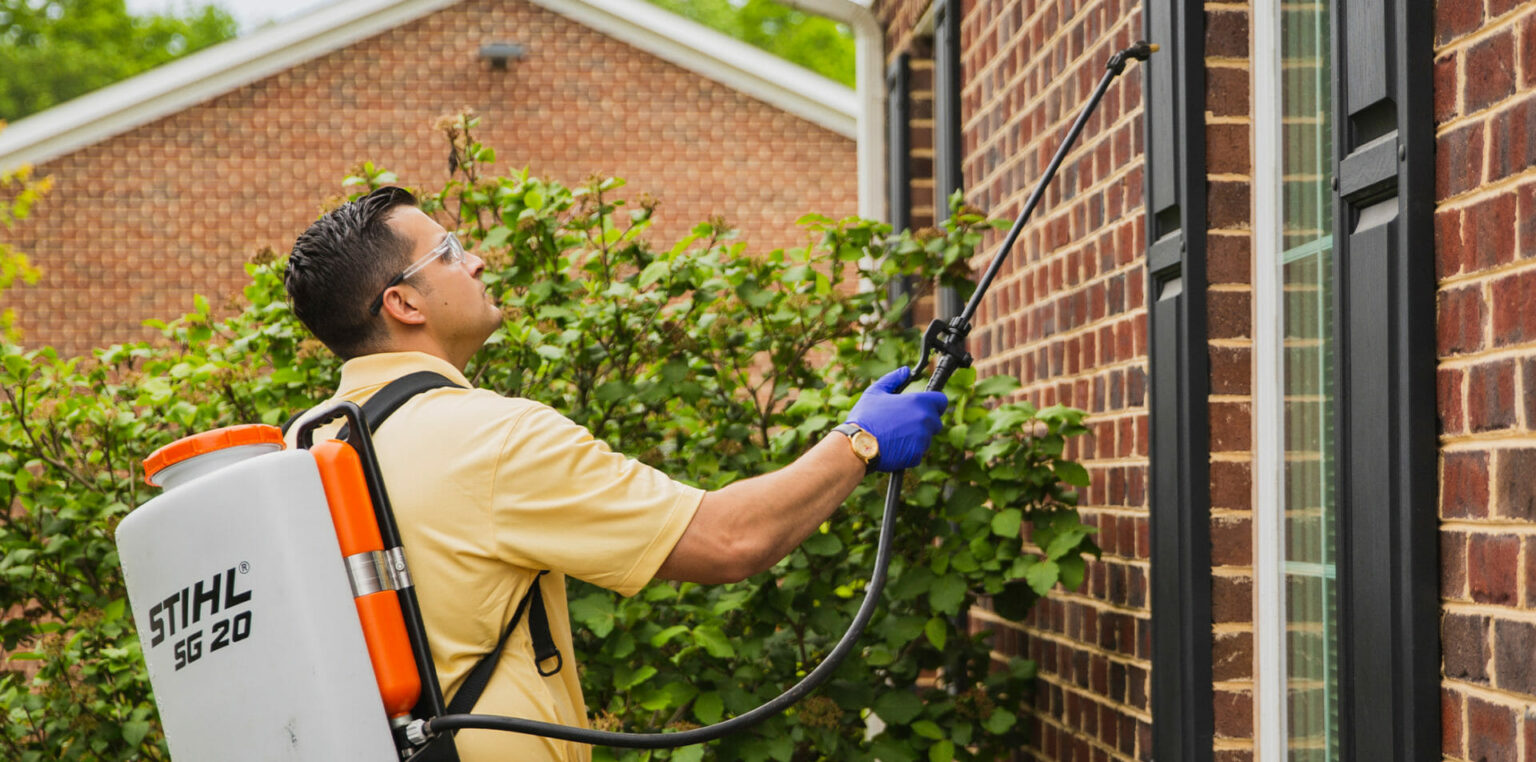 What You Need to Know about Bee Removal Dodson Pest Control