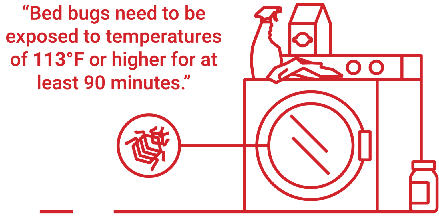 Does Heat Kill Bed Bugs? Dodson Pest Control