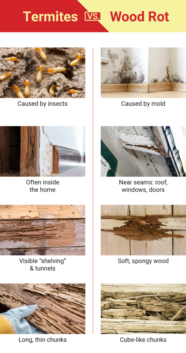 Termite Damage vs. Wood Rot (with Pictures) Dodson Pest Control