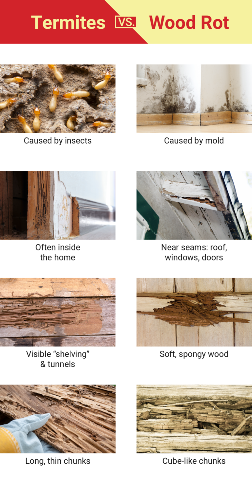 Termite Damage Vs Wood Rot with Pictures Dodson Pest Control