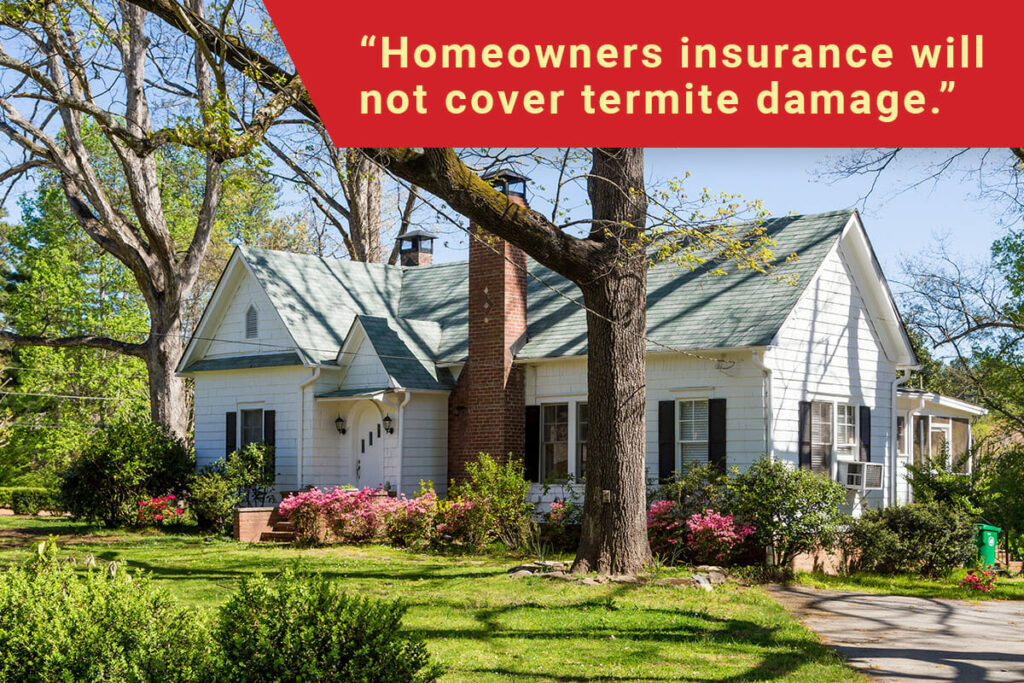 Does Homeowners Insurance Cover Termite Damage? Dodson Pest Control