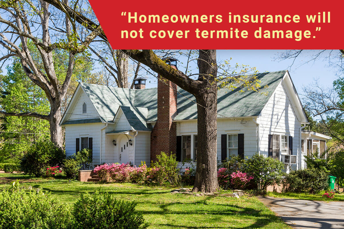 Does home insurance cover termites