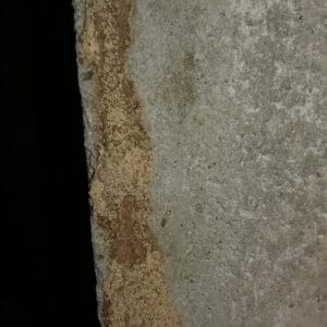 thick worker termite tube