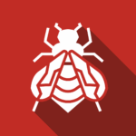 Carpenter Bees