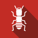 Termites